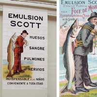 Droguería Asensio Ayala (2)