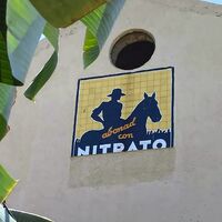 Nitrato de Chile (1)