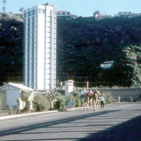 Toro de Osborne (11)