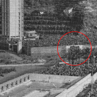 Toro de Osborne (11)