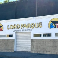Loro Parque